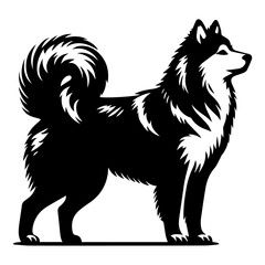 Yakutian Laika vector silhouette illustration black color