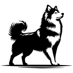 Yakutian Laika vector silhouette illustration black color