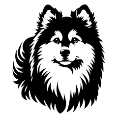 Fototapeta premium Yakutian Laika vector silhouette illustration black color