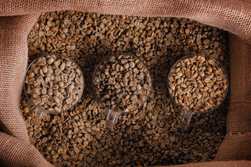 Types of coffee beans roasting showing from green through to brown italian roast, top view