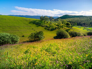 Nature landscape background  by Generative AI 