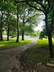 Scenic view of a path winding its way through a grassy park