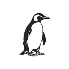 Pinguin schwarz und weiß Illustration - obrazy, fototapety, plakaty