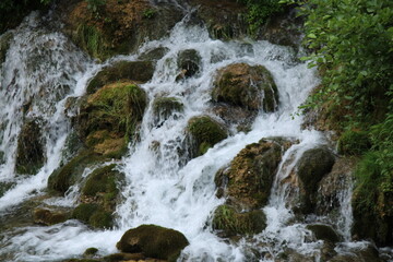 waterfall in the forest