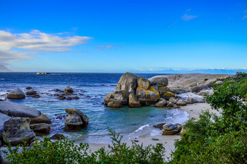 Fototapeta na wymiar Rocky boulder's beach is a turqoise and sheltered beach and a famous tourist destination in cape town