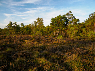 Das Naturschutzgebiet 
