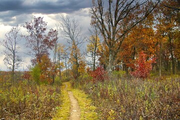 Autumn landscape on a cloudy day, featuring colorful trees surrounding a hilly segment of the Ice Age Trail in a Wisconsin forest..