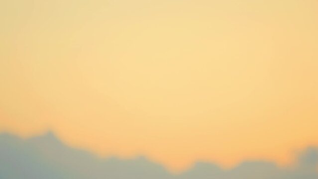 Bird flying on sunset sky background