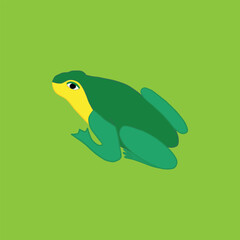 Frog at the light green background