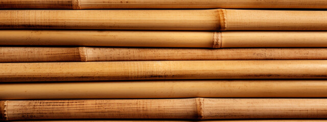 Detailed bamboo surface, natural wood texture.