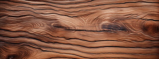 Close-up of circular wood pattern with rich details. - obrazy, fototapety, plakaty