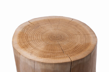 A section of a tree trunk. Oak cut. A wooden stump on a white background.