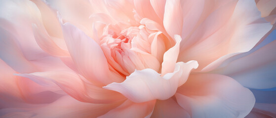 Lush peony petals in macro detail, soft and vibrant.