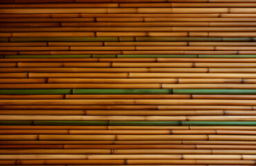 Bamboo Pattern Wall

