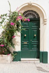 Fototapeta na wymiar Vertical of green door adorned with vibrant pink flower on a sunny day