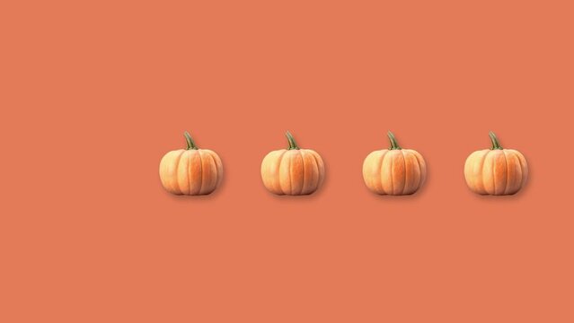 Stop motion Helloween Pumpkin appear and disappear on pastel background. High quality video 4K. Detailed stop motion video. Background or wallpaper in food and drinks videos.