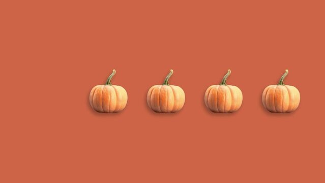 Stop motion Helloween Pumpkin appear and disappear on pastel background. High quality video 4K. Detailed stop motion video. Background or wallpaper in food and drinks videos.