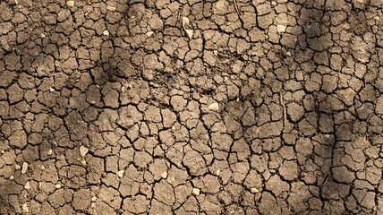 barren dry soil with cracked crust as a natural background on the theme of climate change and drought in agriculture, graphic texture of dried out earth in cracks in sunlight - obrazy, fototapety, plakaty