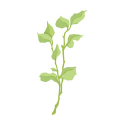 Green branch with foliage. Vector graphics.