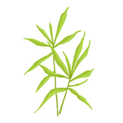 Fototapeta na wymiar Green branch with foliage. Vector graphics.