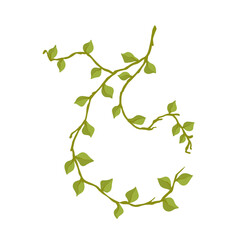 Green branch with foliage. Vector graphics.