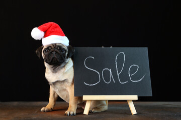 New Year's sale. The inscription Discounts. Special offer, discounts. A pug puppy in a Christmas hat. Pets.