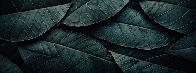 Fotobehang Close-up of vibrant green leaf. © smth.design