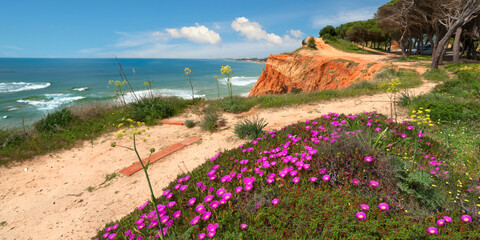 Spring coastline in Albufeira, Algarve, South Portugal.