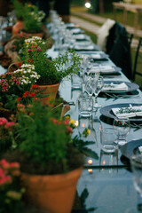 outdoor dining, sophisticated event, crystal glassware, polished plates, rustic centerpiece, wooden decor, potted herbs, table setup, celebration, elegant