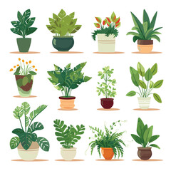 House Plants set flat design illustration