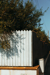 fence in the park