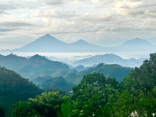 Misty Mountains - Virunga Mountain Range - Uganda - 672926449
