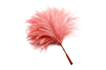 Pink feather duster isolated on a transparent background - obrazy, fototapety, plakaty