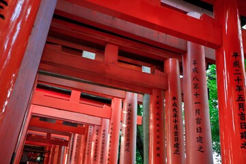 Array of red torii gates adorned with hieroglyphs near a temple