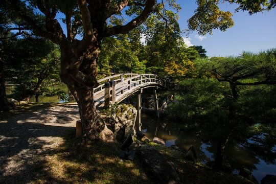 Scenic view of a bridge arching over a tranquil pond in a green garden