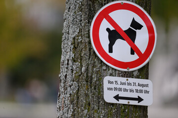 Sommerregeln: Zeitlich begrenztes Hundeverbot im Park