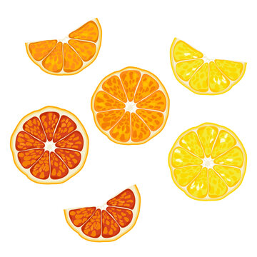 Illustration of orange fruit, paradisi, lemon, cut in half, isolated orange on white background. Seasonal fruits. Tropical. Isolated image, flat vector illustration.