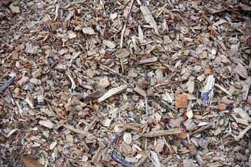 Wood Chips on the Forest Ground