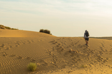 Fototapeta na wymiar Thar Desert, Jaisalmer, Rajasthan, India