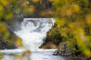 Well known Jyrävä waterfall during autumn foliage at Kitkajoki river in Oulanka national park near Kuusamo, Northern Finland  - 672936694