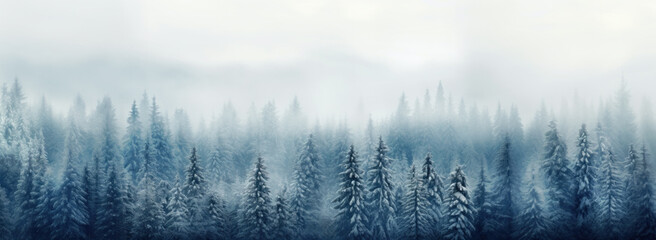 Alpine winter forest covered in dense fog and frost. Panorama with copy space