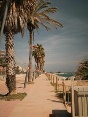 Empty footpath on the quay with a row of palm trees and street lights.