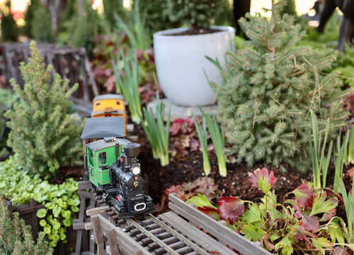 toy train set going down the tracks through the vegetable garden