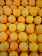 apricots in a market