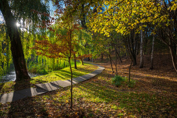 Obraz premium Sunny city park with winding path
