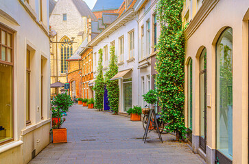 Naklejka premium Narrow pedestrian cozy street with green plants on walls of buildings in Kortrijk city historical centre, Kortrijk old town, West Flanders province, Flemish Region, Belgium