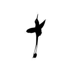 Flying Hummingbird Silhouette, can use Art Illustration, Website, Logo Gram, Pictogram or Graphic Design Element. Vector Illustration