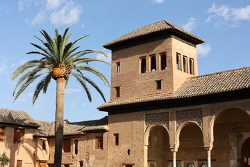 Fototapeta na wymiar Garden of the Alhambra, Granada, Spain, Andalusia
