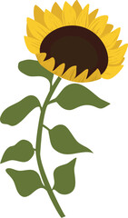 hand drawn sun flower summer floral background and wreath design