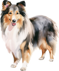 Shetland sheepdog watercolor illustration created with Generative AI technology